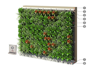 Urban vertical greening system for walls