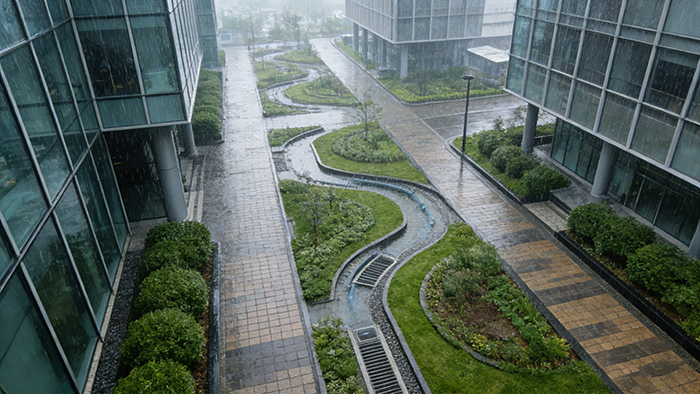 Getting up close to a sponge city’s Rain Water Collection System: See how “rain from the sky” becomes a city’s “treasure.”